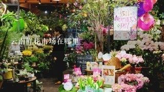 芳村花卉市场在哪里：广州芳村花卉市场地址芳村花卉市场交通指南