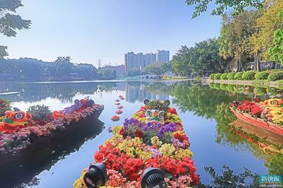 广州芳村花卉市场疫情：广州芳村花卉市场疫情下的岭南花卉市场 广州水族批发市场 第3张