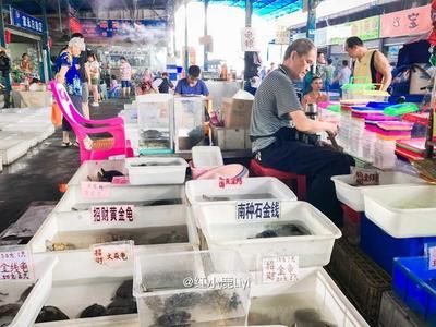广州芳村花鸟市场开始营业了吗现在：广州芳村花鸟鱼虫市场 广州水族批发市场 第3张