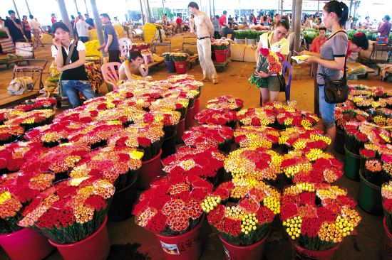 广州芳村花市场几点关门：广州花卉市场的历史沿革广州花卉市场的历史沿革广州花卉市场 广州水族批发市场 第4张