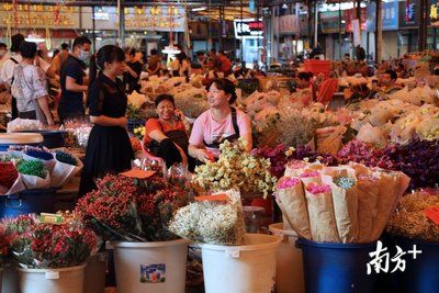 芳村花卉批发市场地铁怎么去：地铁站到花卉批发市场怎么走 广州水族批发市场 第3张