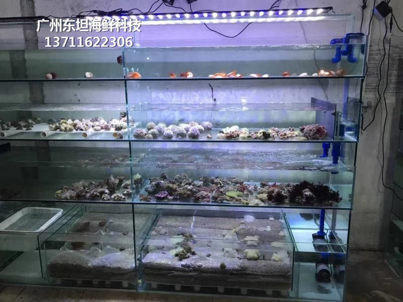 广州卖鱼缸的地方有哪些店铺：在广州可以购买或定制鱼缸的地点和店铺 广州水族批发市场 第3张