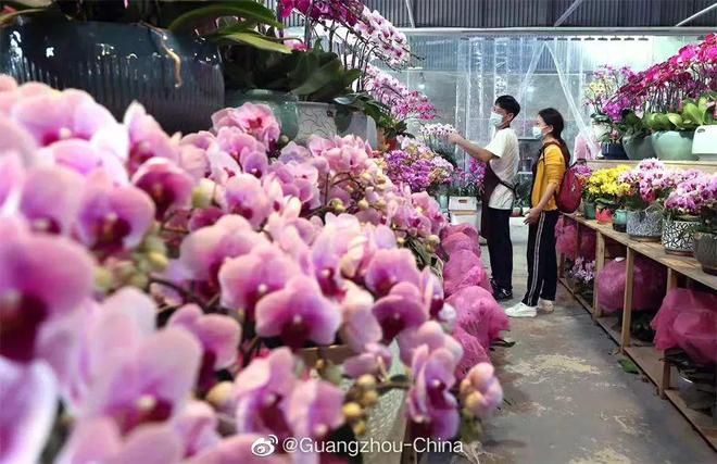 广州芳村岭南花卉市场离哪个火车站近