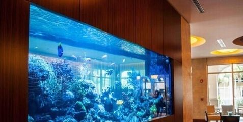 广州买鱼缸的地方在哪里：广州购买鱼缸的几个地点 广州水族批发市场 第3张