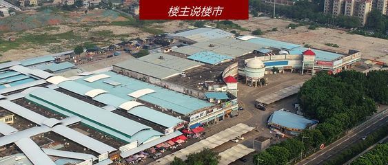 芳村花鸟市场封了吗 广州水族批发市场 第3张