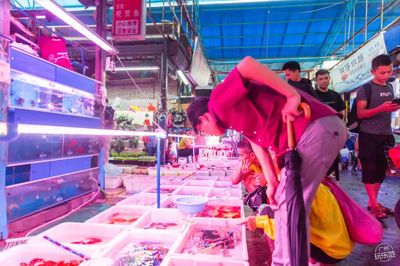 芳村花鸟鱼虫市场新址规划：广州芳村花鸟鱼虫市场即将搬迁 广州水族批发市场 第1张