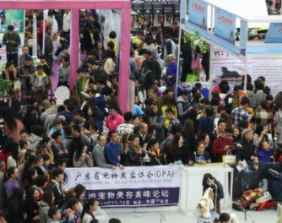 广州最大的水族批发商：广州一些较大的水族批发商 广州水族批发市场 第2张