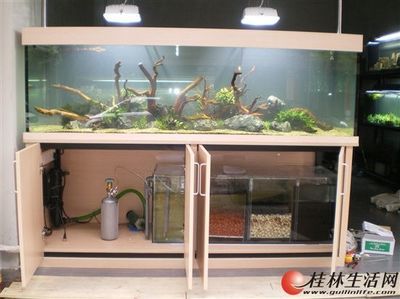 大型海水鱼缸换水方法：大型海水鱼缸换水方法和注意事项 鱼缸百科 第3张