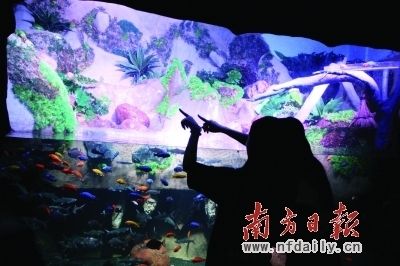 广州水族馆观赏鱼批发价格：广州最大观赏鱼批发市场价格仅供参考实际价格仅供参考 广州水族批发市场 第3张