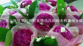 广州芳村鲜花批发市场一手批发商：广州情意鲜花批发市场 广州水族批发市场 第3张