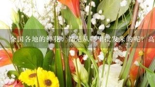 广州芳村鲜花批发市场一手批发商：广州情意鲜花批发市场 广州水族批发市场 第4张