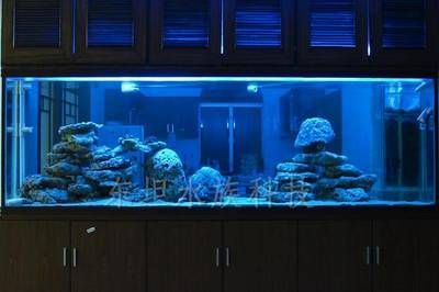 广州鱼缸哪里买最便宜又好看的水：广州水族用品批发市场 广州水族批发市场 第4张