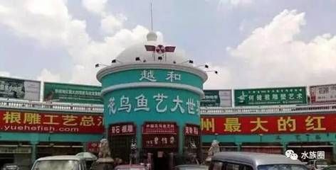 芳村花鸟市场坐几号地铁去：广州芳村花鸟市场位于广州，您可以乘坐地铁1号线和广佛线到达