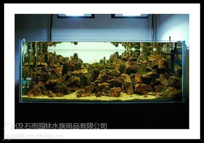 广州鱼缸造景批发市场在哪里啊多少钱一个平方