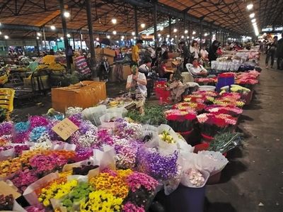 芳村岭南花卉市场解封了吗：芳村岭南花卉市场已经解封 广州水族批发市场 第4张