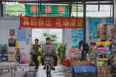 芳村花鸟鱼虫市场春节营业时间：广州芳村花鸟鱼虫市场春节营业时间表 广州水族批发市场 第1张