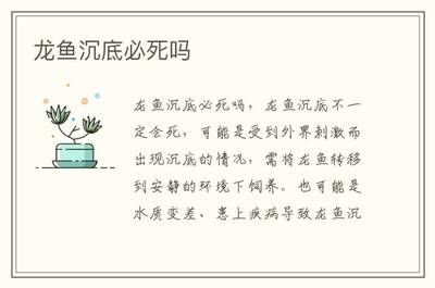 龙鱼沉底必死的原因是什么：龙鱼沉底一定意味着死亡吗？ 龙鱼百科 第2张