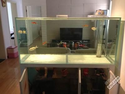 超白玻璃和普通玻璃鱼缸哪个好些：超白玻璃鱼缸与普通玻璃鱼缸的区别 鱼缸 第2张
