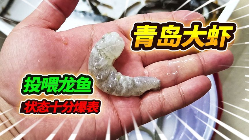 喂龙鱼泥鳅处理方法图解：喂龙鱼泥鳅处理方法 龙鱼百科 第2张