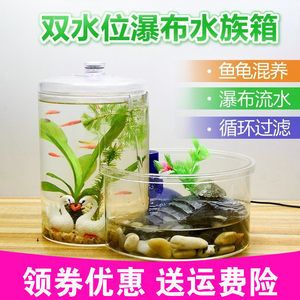 斗鱼鱼缸需要过滤吗：斗鱼鱼缸是否需要过滤 鱼缸百科 第4张