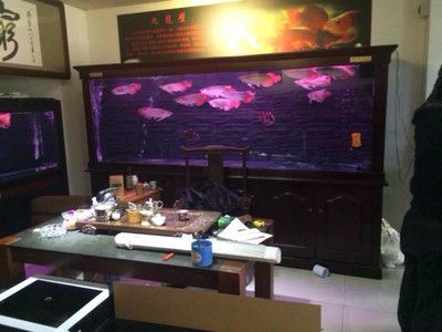 创海鱼缸怎么安装视频：创海鱼缸安装视频教程 鱼缸百科 第3张