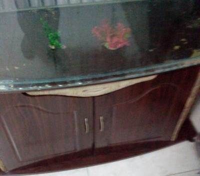 玻璃鱼缸划痕怎么处理最好：如何修复鱼缸玻璃划痕 鱼缸 第1张