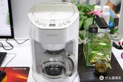 茶水倒入鱼缸会怎么样：倒入鱼缸后，茶水倒入鱼缸后会对鱼的生存造成影响吗 鱼缸百科 第1张