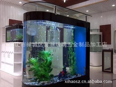 玻璃鱼缸好还是亚克力的玻璃好呢：亚克力鱼缸和亚克力鱼缸材质对观赏效果更好的选择 鱼缸 第3张