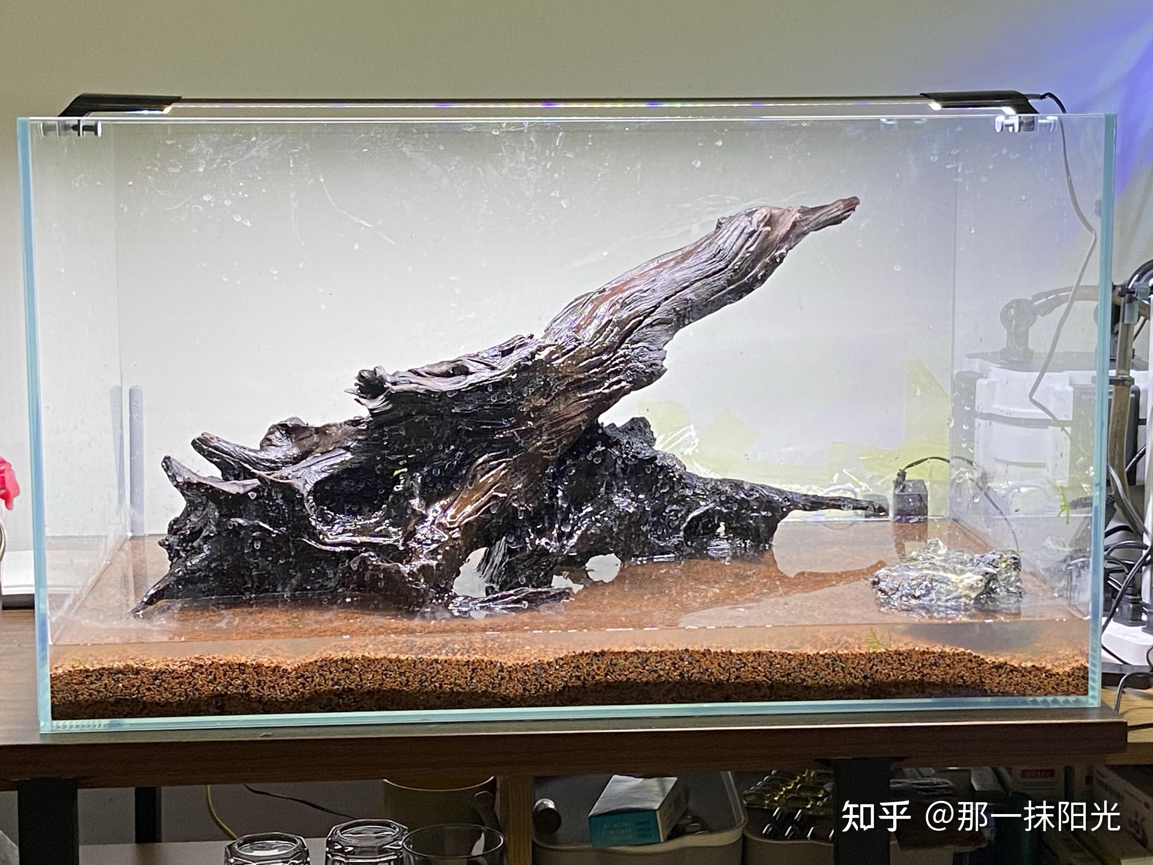 大型鱼缸石头造景图案：如何设计大型鱼缸石头造景图案 鱼缸 第3张