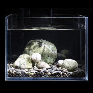 鹅卵石造景鱼缸教学视频：如何利用鹅卵石打造低成本的鱼缸造景鱼缸教学视频推荐 鱼缸 第4张