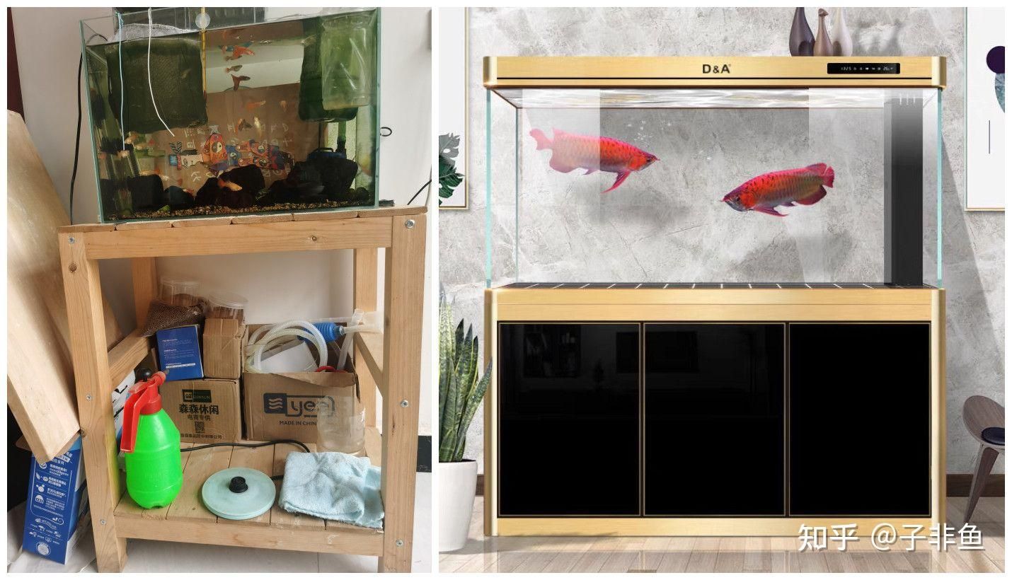 动森鱼缸家具：《集合啦！动物森友会》家具diy秘籍 鱼缸 第3张