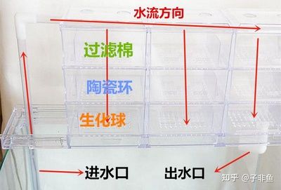 不用电的鱼缸过滤器有用吗知乎：不用电的鱼缸过滤器实用性时需要考虑鱼缸过滤器的基本功能