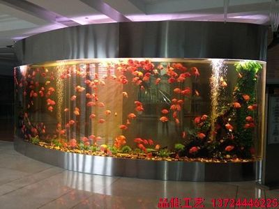 超大型鱼缸用什么玻璃好：超大型鱼缸制作材料 鱼缸 第3张