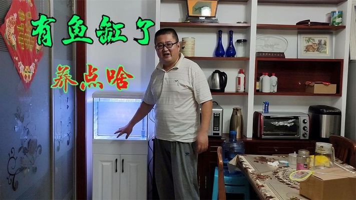 大梅家的鱼缸怎么样啊视频：大梅家的鱼缸是一个家庭版的海底世界 鱼缸百科 第3张