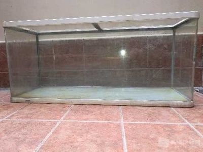 1.5米的鱼缸用12厚的玻璃够用吗：1.5米的鱼缸用12毫米厚的玻璃够用吗？ 鱼缸 第2张