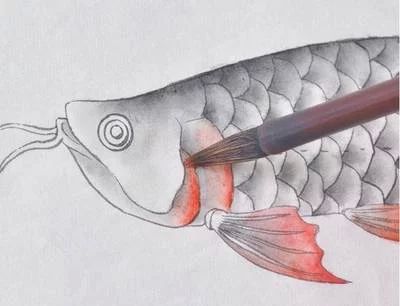 龙鱼的画怎样画简单又漂亮：如何简单又漂亮地画出龙鱼 龙鱼百科 第1张