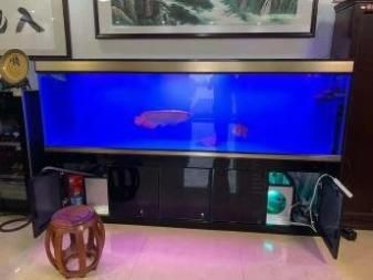 大洋水族鱼缸安装视频教学：鱼缸安装工具和材料介绍 鱼缸百科 第3张