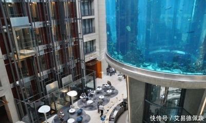 超大热带鱼缸：水族工程超大热带鱼缸的选择与设计