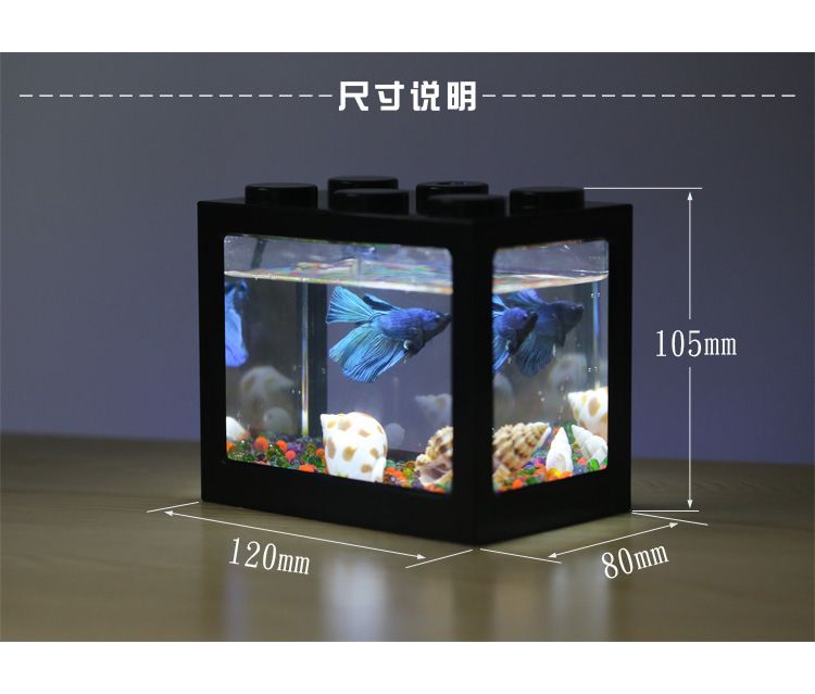斗鱼鱼缸制作方法：如何选择合适的斗鱼鱼缸 鱼缸 第1张