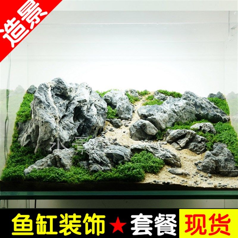 100cm鱼缸造景：100cm鱼缸造景关键步骤和注意事项和注意事项 鱼缸百科 第2张