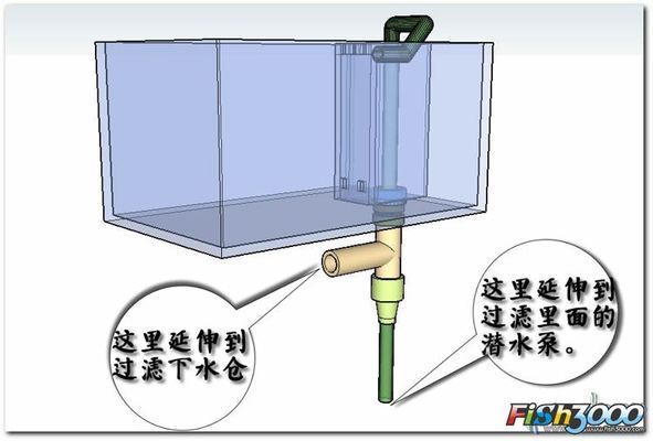 大鱼缸小鱼缸连接 鱼缸百科 第2张