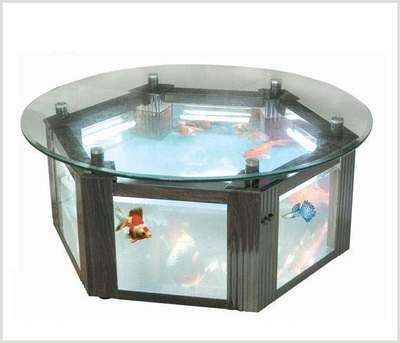 多边形鱼缸安全吗好吗：多边形鱼缸的优劣分析 鱼缸 第1张