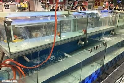 超市卖淡水鱼专用鱼缸多少钱：关于超市卖淡水鱼专用鱼缸的价格和购买地点北京超市鱼缸价格 鱼缸 第1张
