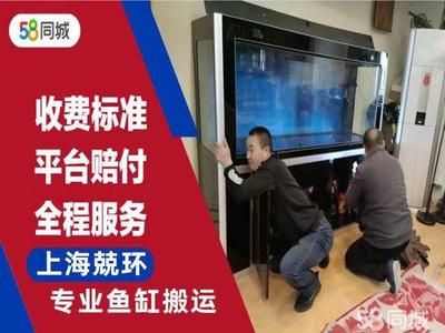 搬个鱼缸多少钱：搬个鱼缸的具体费用需要根据实际情况和搬家公司进行详细咨询 鱼缸百科 第2张