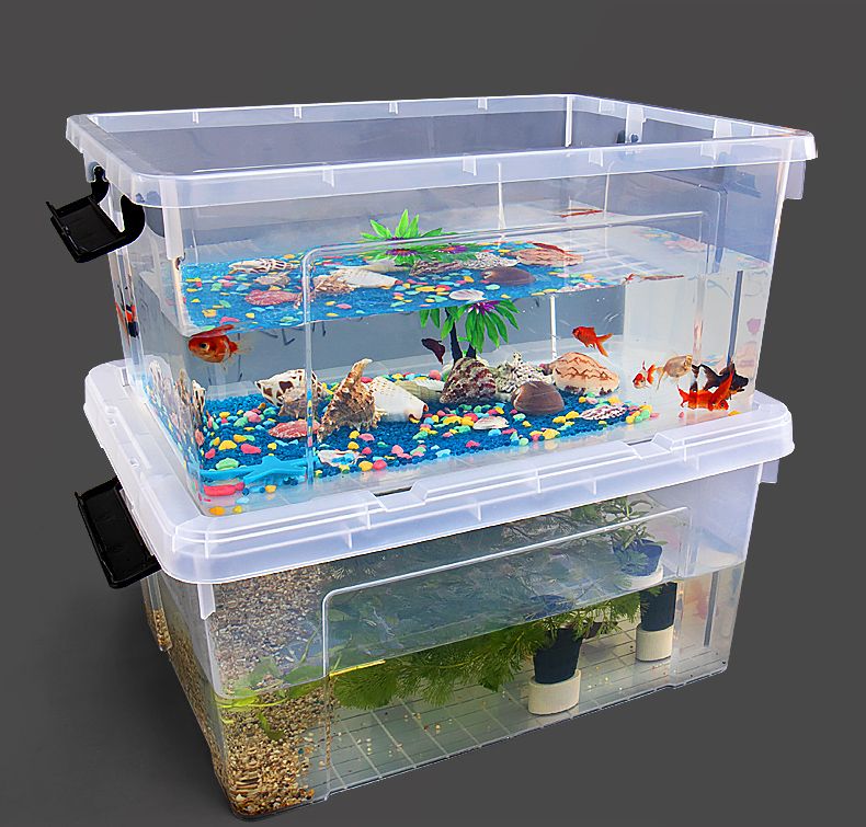 大型透明塑料鱼缸：大型透明塑料鱼缸在选择和使用时需要考虑材质、安全性以及造景 鱼缸 第3张