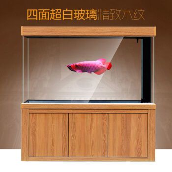 超白玻璃鱼缸多少钱一个：超白玻璃鱼缸价格一览 鱼缸 第2张