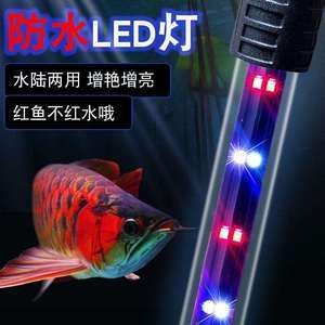 1.2米鱼缸灯：1.2米鱼缸灯1.2米鱼缸灯 鱼缸 第2张