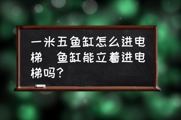 大鱼缸怎么进电梯：大鱼缸如何搬运电梯 鱼缸百科 第1张