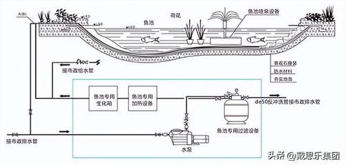 不用电的鱼缸水循环怎么做过滤 鱼缸百科 第3张