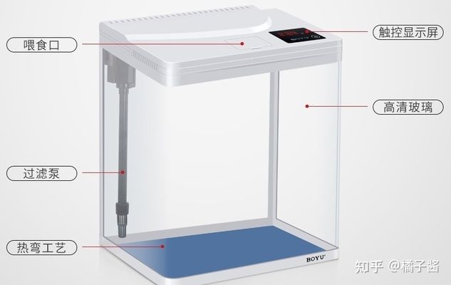 大鱼缸在哪买比较好：大型鱼缸的购买方法 鱼缸百科 第2张